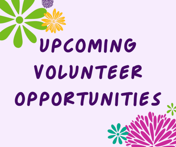 A light purple background with the words "Upcoming volunteer opportunities" in dark purple. Decorative flower graphics surround the words.